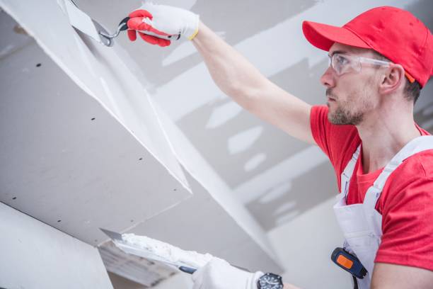 Best Trim and Molding Painting  in Rice Lake, WI